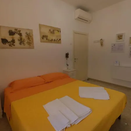 Al Vecchio Olmo Nocleg ze śniadaniem Sirolo