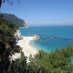 Al Vecchio Olmo