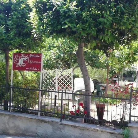 Al Vecchio Olmo Sirolo