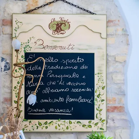 Al Vecchio Olmo Sirolo