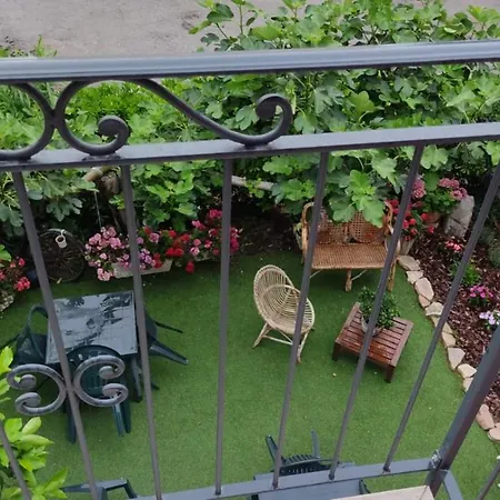 Bed & Breakfast Al Vecchio Olmo